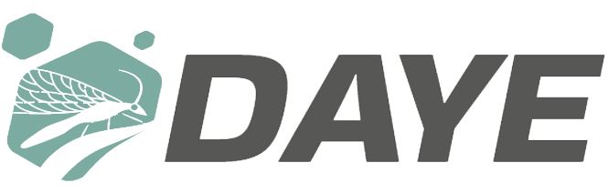 logo_daye_grande2